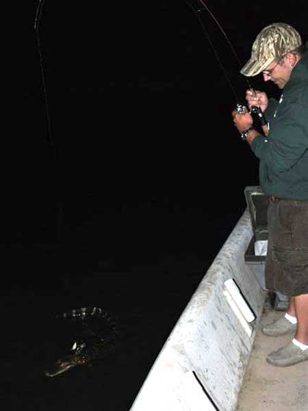 Justin Marsh hooked an alligator during a night fishing trip for speckled trout in the Cape Fear River.