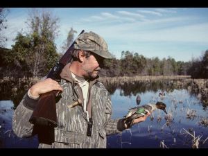 Green-winged teal hunter
