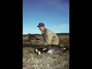 Canada Goose hunter