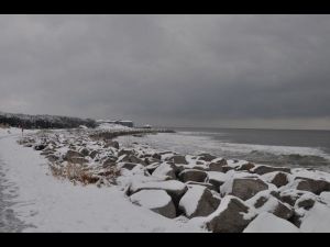 February-12-Snow,-The-Tides-133